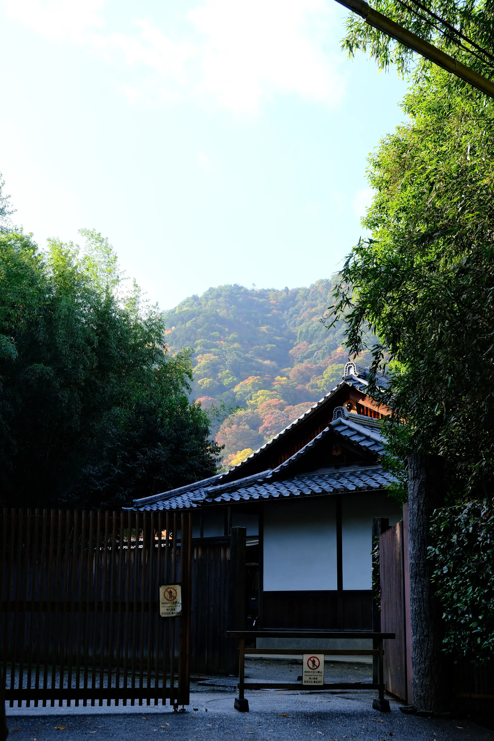 A wooden temple gate framed by bamboo and green hills