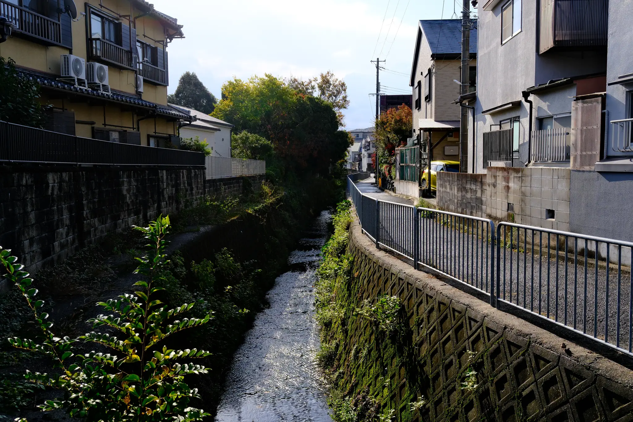 A quiet residential lane beside a small stream between houses