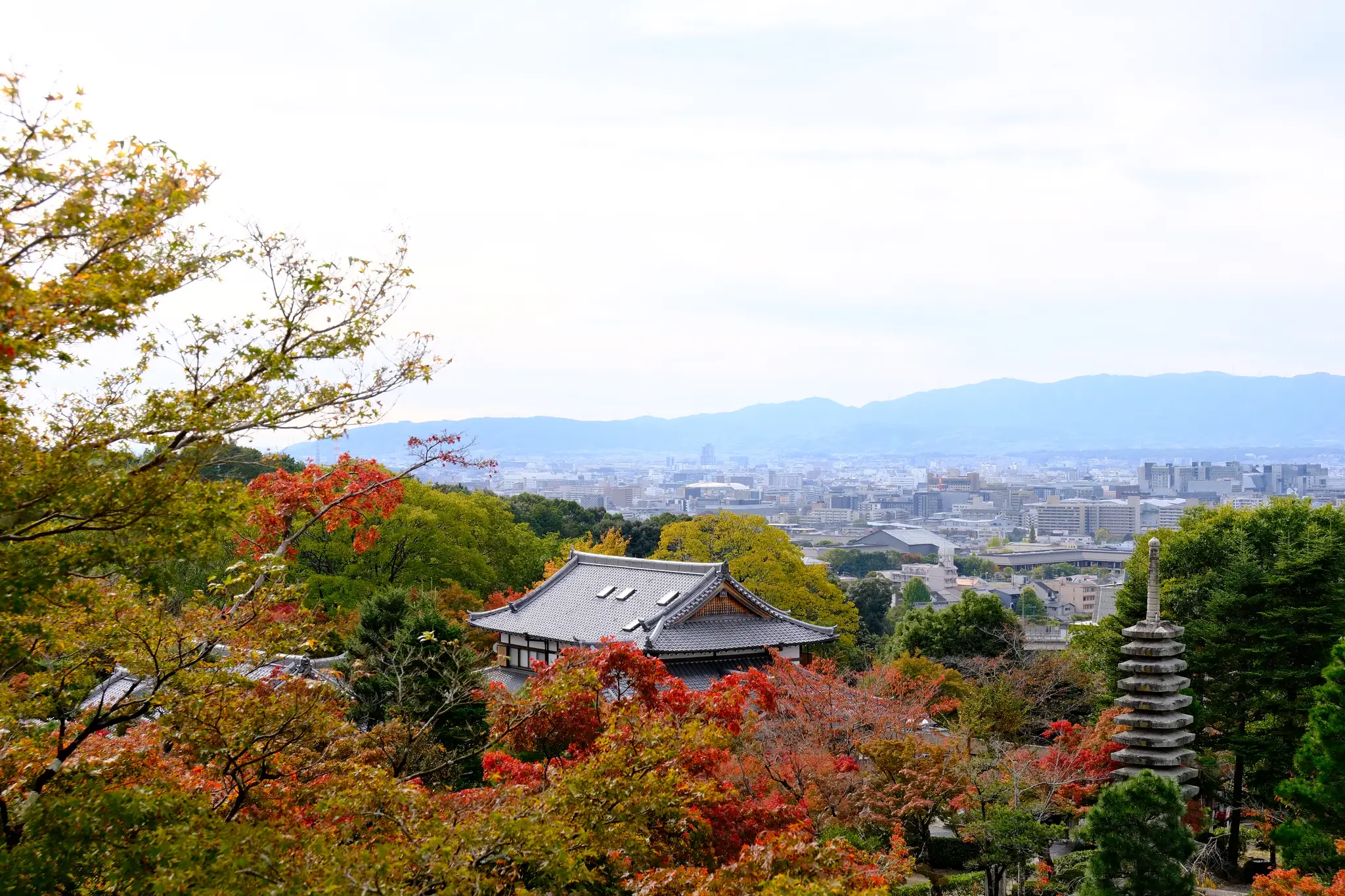 Autumn foliage and temple roofs overlooking the city