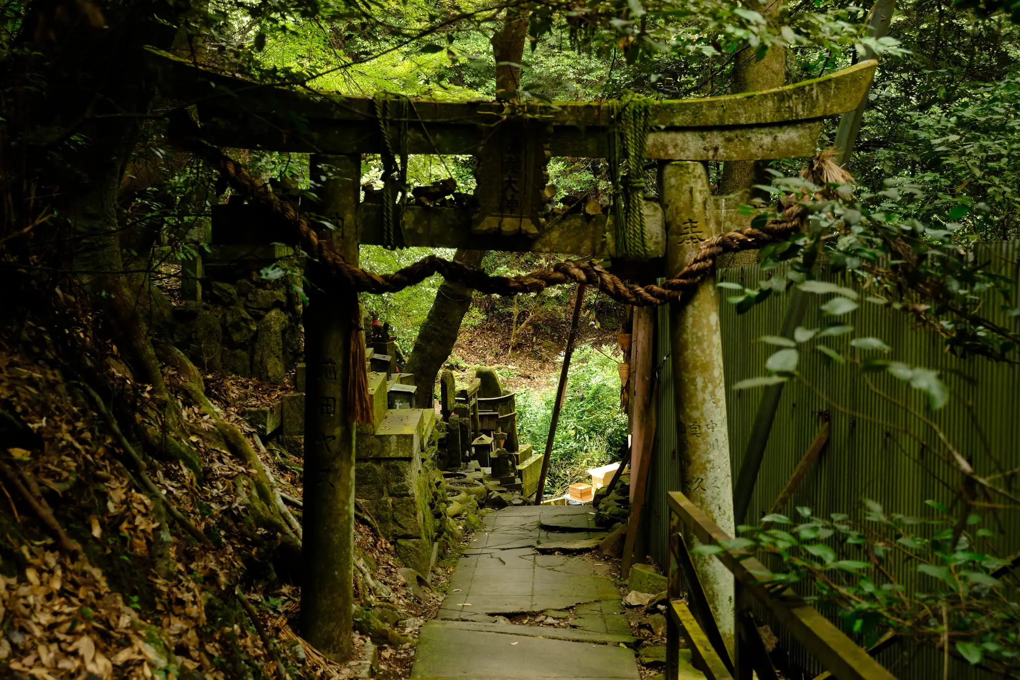 A moss-covered stone torii on a shaded forest trail